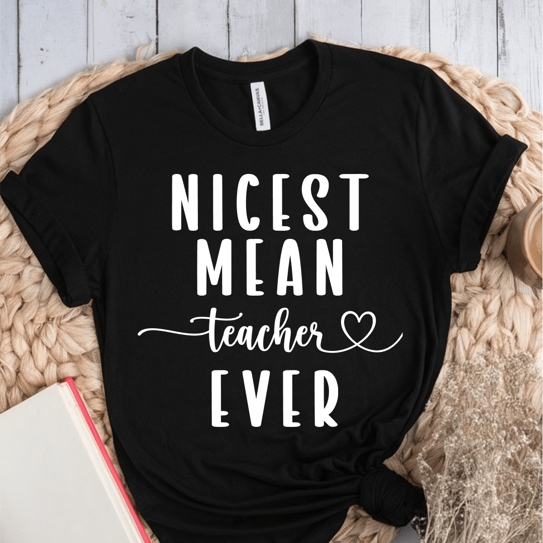 T-Shirt Black / S Nicest Mean Teacher Ever T-Shirt