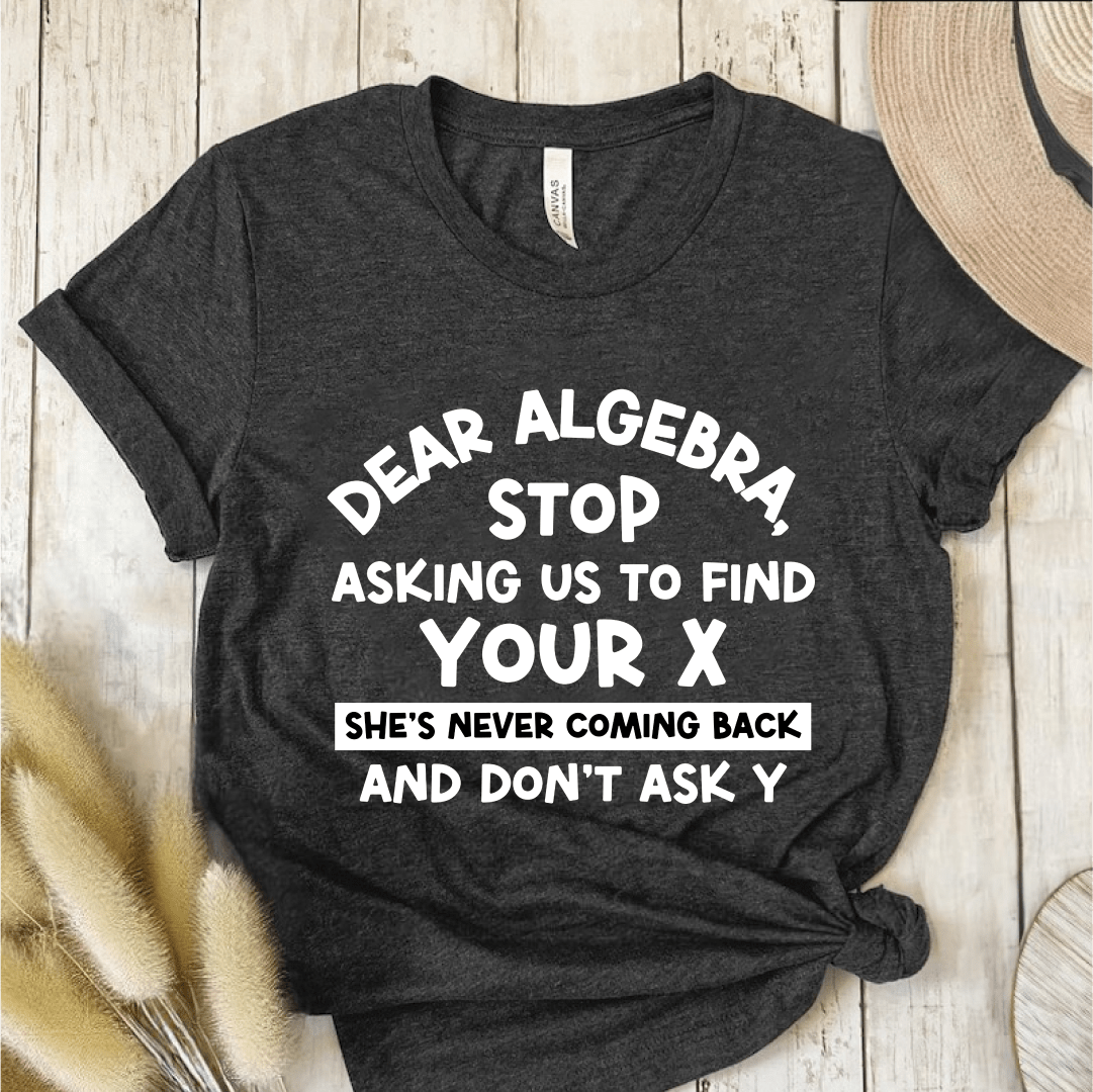 T-Shirt Dark Grey / S Dear Algebra Stop Asking Us To Find Your X T-Shirt