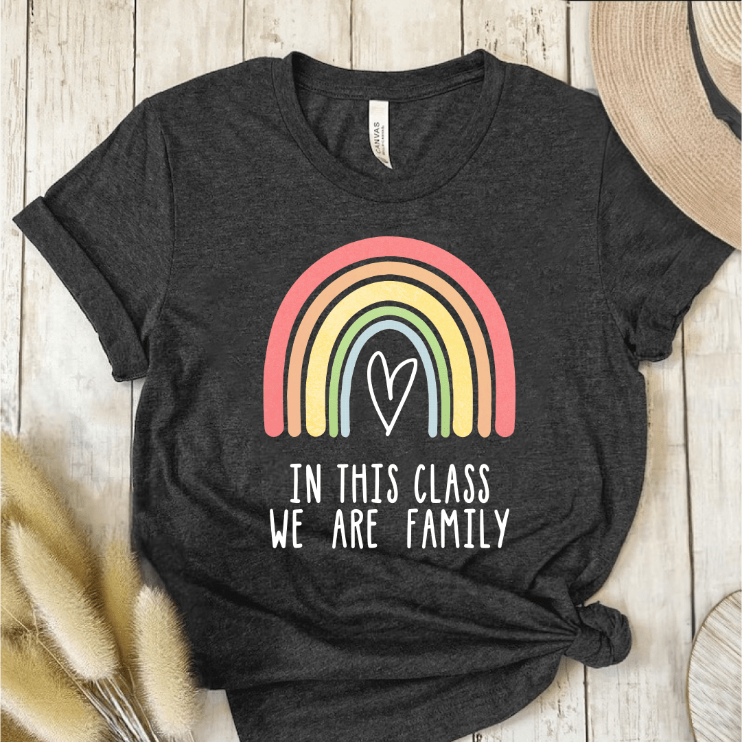 T-Shirt Dark Grey / S In This Class We Are Family T-Shirt