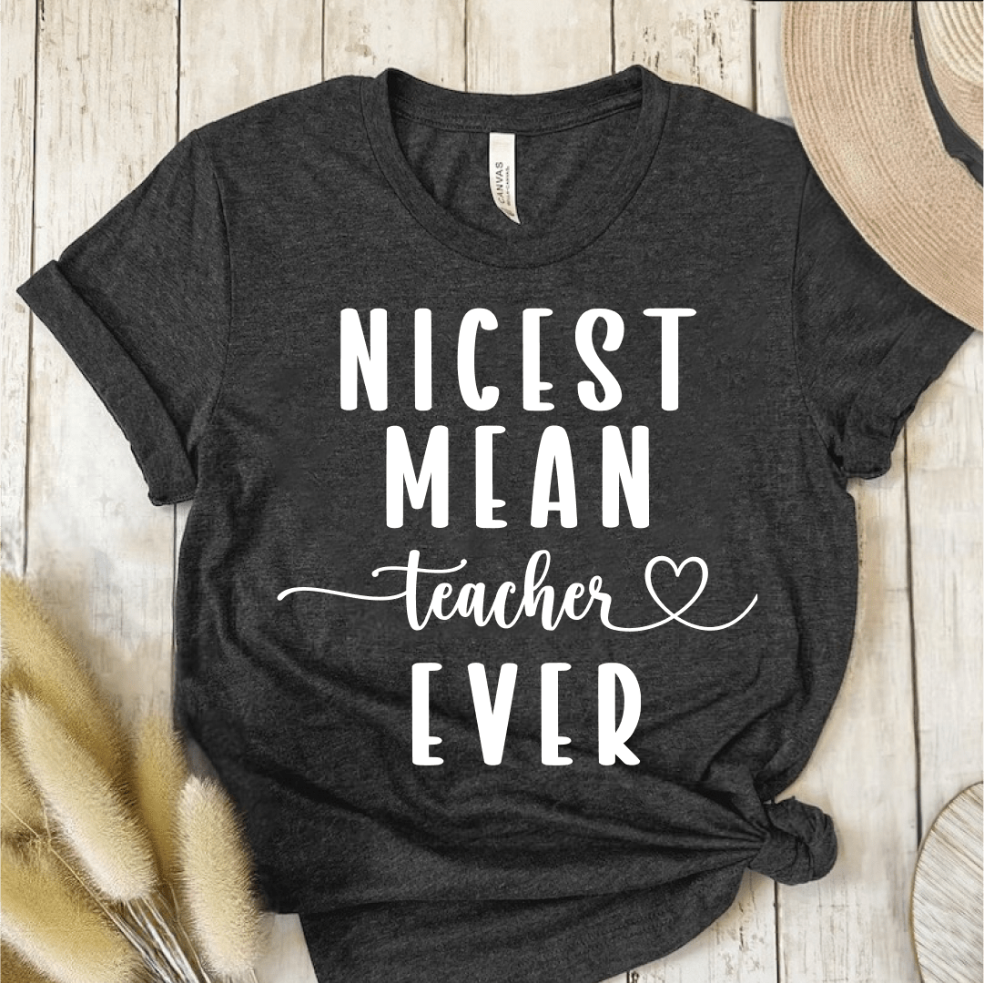 T-Shirt Dark Grey / S Nicest Mean Teacher Ever T-Shirt
