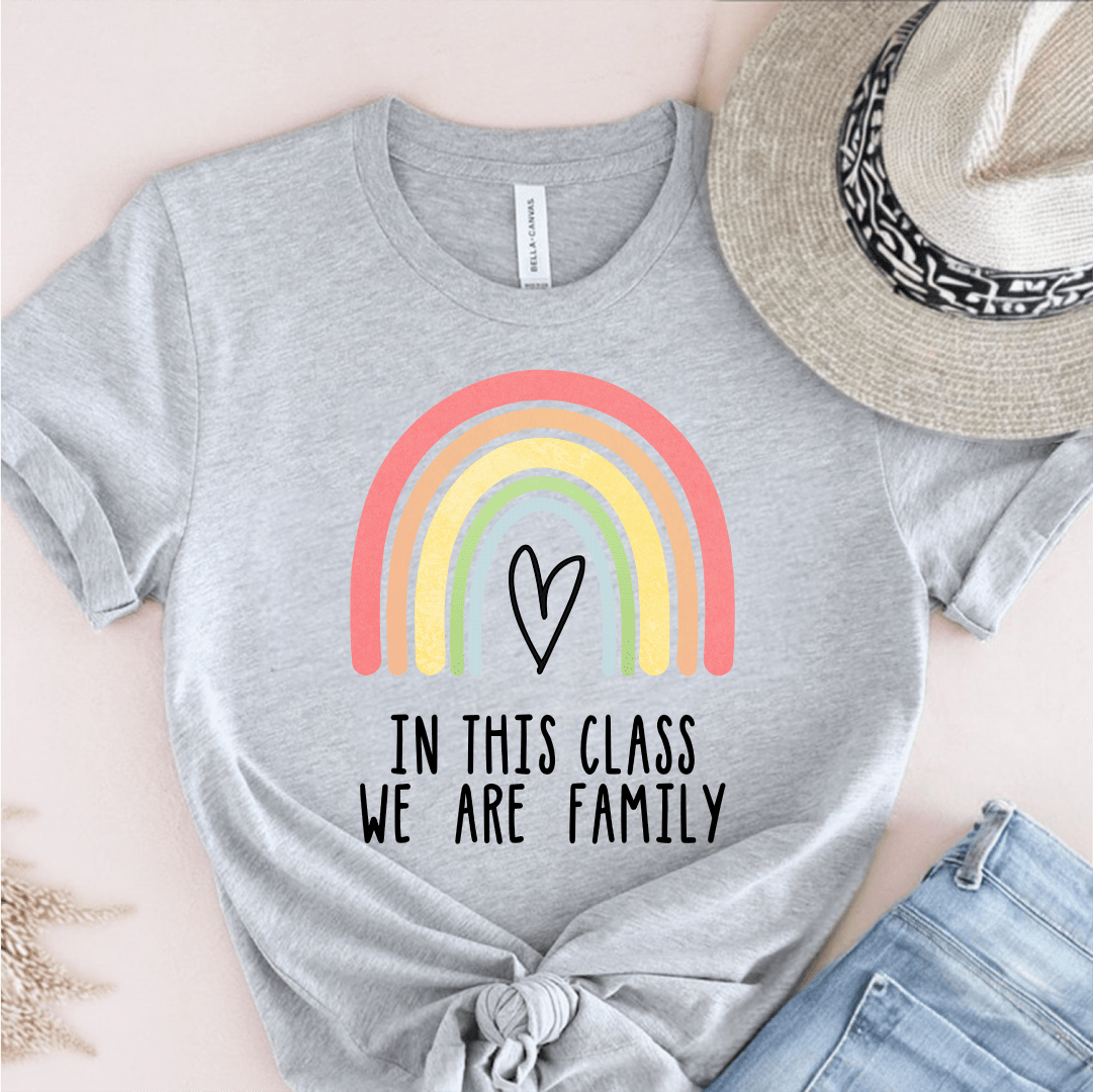 T-Shirt Grey / S In This Class We Are Family T-Shirt