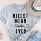 T-Shirt Grey / S Nicest Mean Teacher Ever T-Shirt