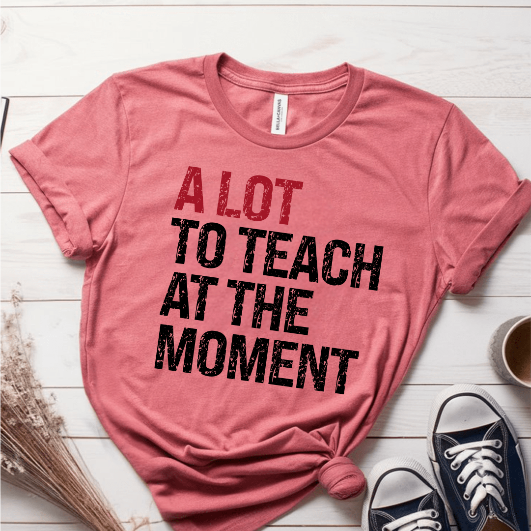 T-Shirt Mauve / S A Lot To Teach At The Moment T-Shirt