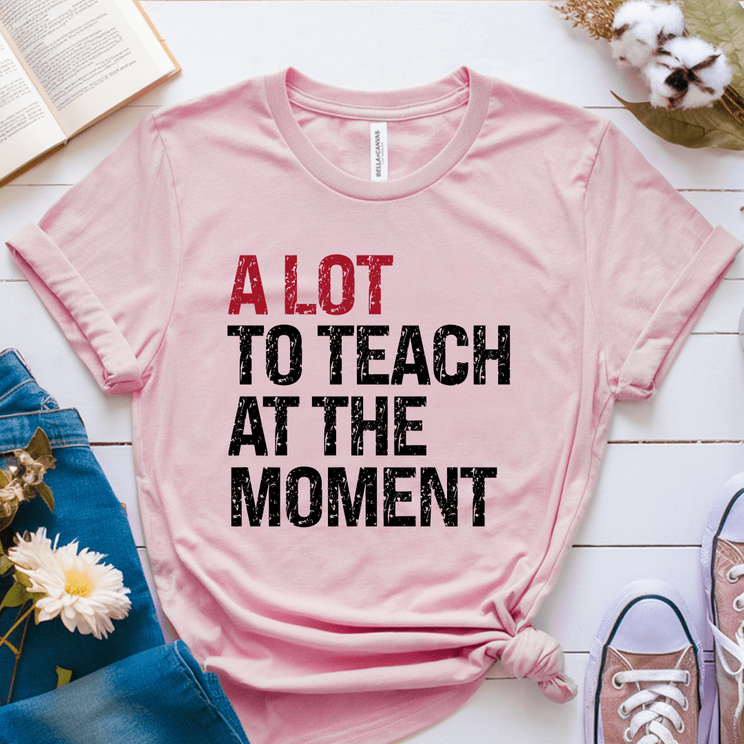 T-Shirt Soft Pink / XS A Lot To Teach At The Moment T-Shirt